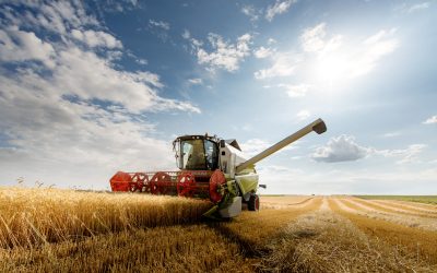 Harvest
